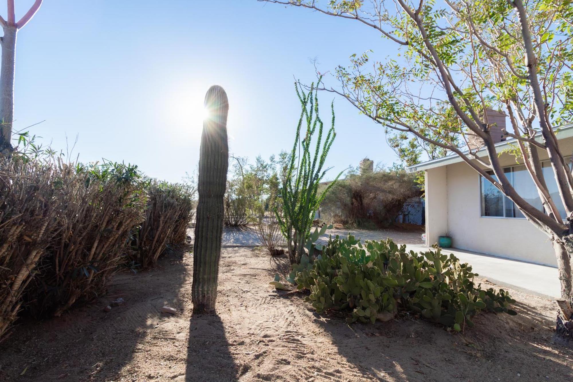 Casa De Lovely Joshua Tree With Fast Wifi And Comfy Beds Villa Eksteriør bilde